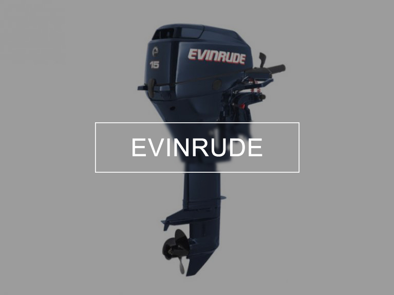 evinrude motori barche roma