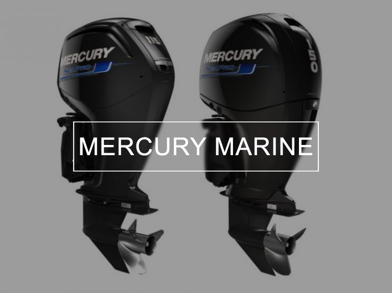motori mercury marine roma